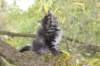 xon95weeks2792363_small.jpg