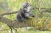 xon95weeks2792366_small.jpg