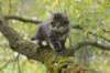 xon95weeks2792367_small.jpg