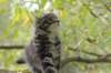 xon95weeks2792368_small.jpg
