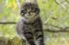 xon95weeks2792369_small.jpg