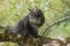 xon95weeks2792371_small.jpg