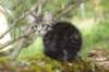 xon95weeks2792372_small.jpg