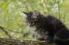 xon95weeks2792376_small.jpg