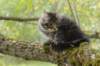 xon95weeks2792378_small.jpg