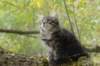 xon95weeks2792379_small.jpg