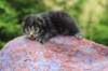 xonboy2weeks38202324_small.jpg