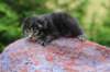 xonboy2weeks38202326_small.jpg