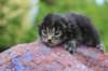 xonboy2weeks38202327_small.jpg