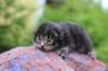 xonboy2weeks38202328_small.jpg
