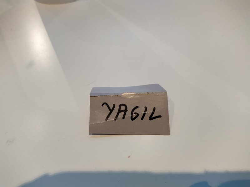 yagil.jpg