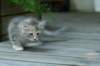 img_9116_small.jpg