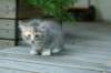 img_9120_small.jpg