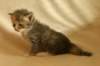 img_8472_small.jpg