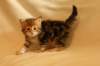 img_8327_small.jpg