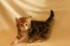 img_8328_small.jpg