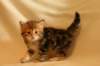 img_8329_small.jpg