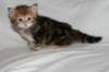 img_8336_small.jpg