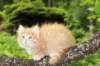 yosebagirl65weeks15636_small.jpg