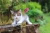 yozefboy45weeks26106_small.jpg