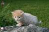 img_7120_small.jpg