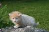 img_7121_small.jpg