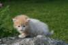 img_7122_small.jpg