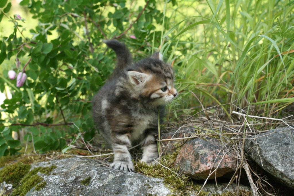 img_6970.jpg