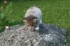 img_7140_small.jpg