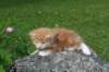 img_7067_small.jpg