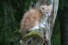 img_8539_small.jpg