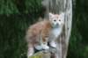 img_8540_small.jpg