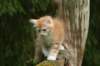 img_8544_small.jpg