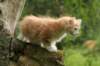 img_8550_small.jpg