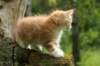 img_8551_small.jpg