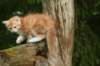 img_8556_small.jpg