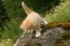 img_8043_small.jpg