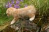 img_8050_small.jpg