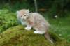img_8715_small.jpg