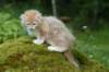 img_8716_small.jpg