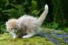 img_8725_small.jpg