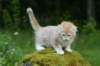 img_8727_small.jpg