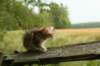 img_9392_small.jpg