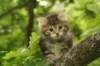 img_7962_small.jpg