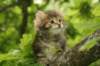 img_7967_small.jpg