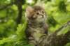 img_7968_small.jpg