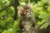 img_7969_small.jpg