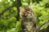 img_7970_small.jpg