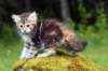 img_8637_small.jpg