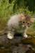 img_7816_small.jpg